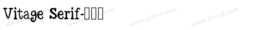 Vitage Serif字体转换